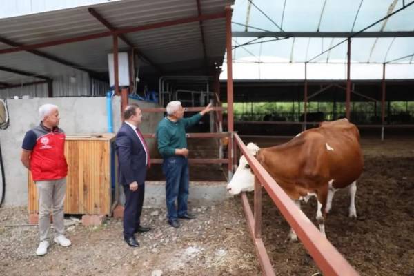 “Anneleri Aşılat, Buzağını Yaşat ”