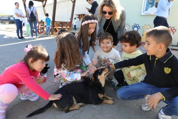 Büyükşehir’Den 3 Bin 779 Can Dosta Yeni Yuva