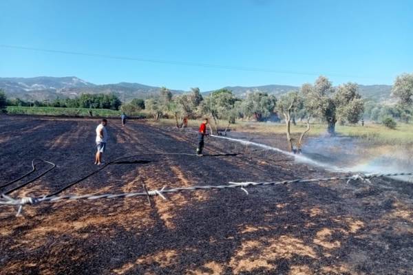 Büyükşehir Anız Yangınları Konusunda Uyardı