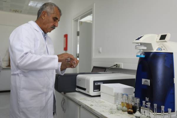 Büyükşehir Ve Mskü İş Birliğiyle Toprak Verimliliği Artıyor