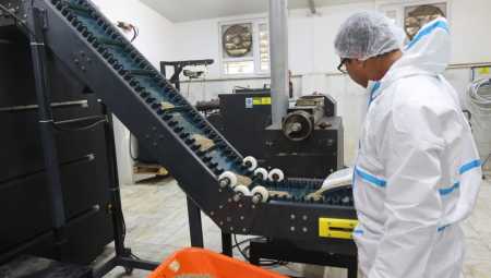 Büyükşehir Can Dostlar İçin 42 Ton Mama Üretti